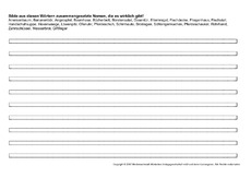 lustige-Nomen-AB-4.pdf